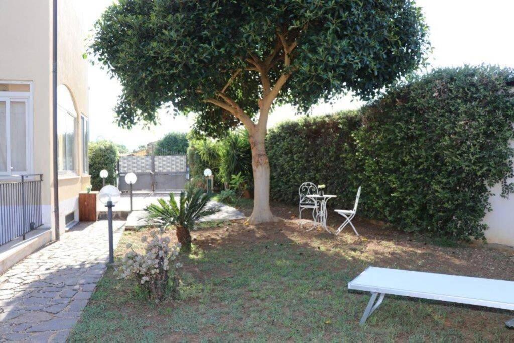 Villa Cavalluccio Marino Con Piscina Idromassaggio คารินิ ภายนอก รูปภาพ