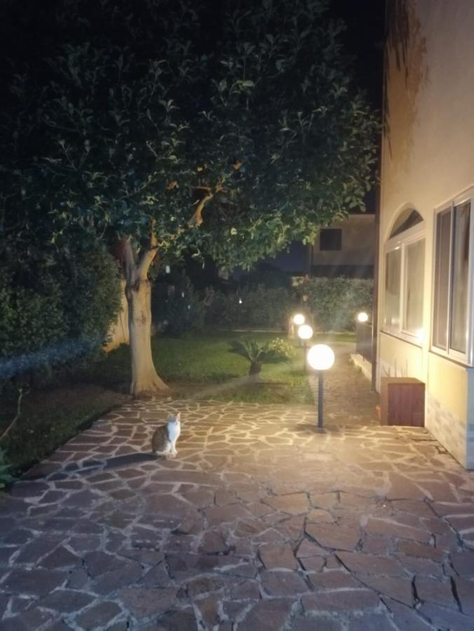 Villa Cavalluccio Marino Con Piscina Idromassaggio คารินิ ภายนอก รูปภาพ